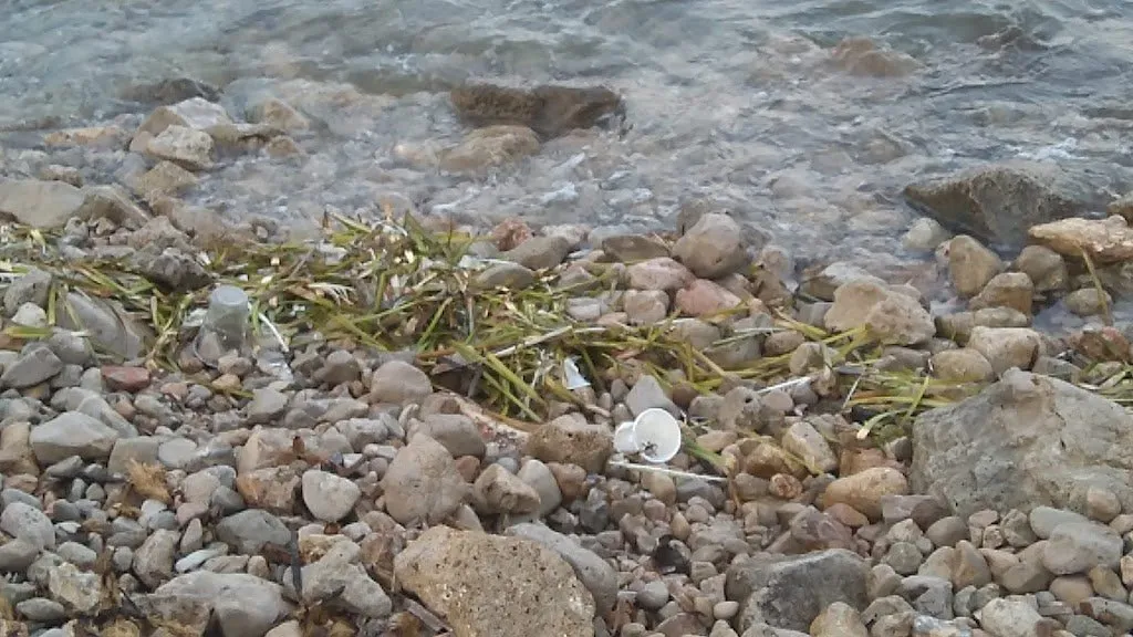 Cala Espart, strand op Ibiza