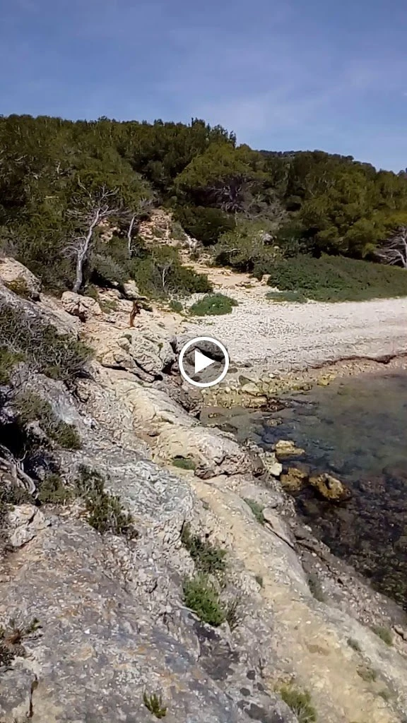 Cala Espart, strand op Ibiza