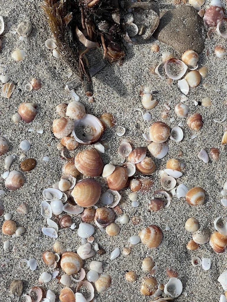 Platja Es Arenals, strand op Formentera