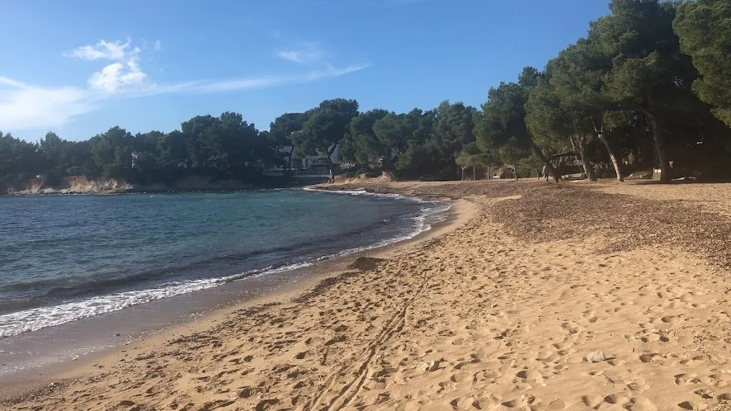 Es Niu Blau, a beach on Ibiza