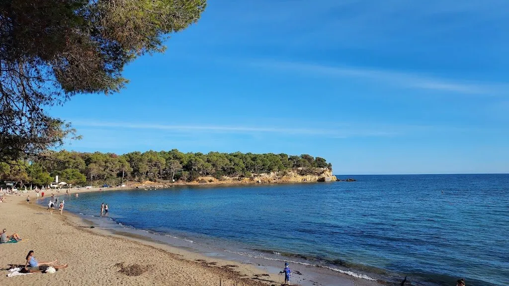 Es Niu Blau, a beach on Ibiza