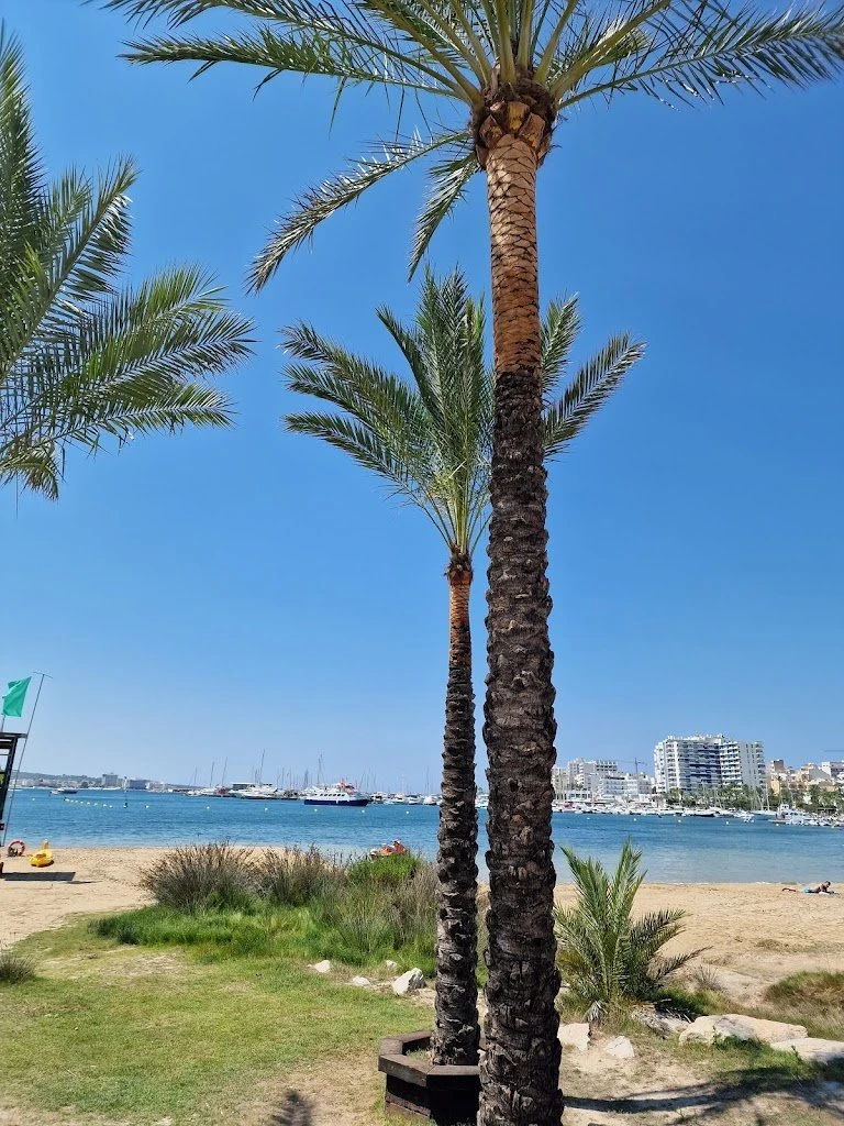 Playa de Sant Antoni, strand op Ibiza