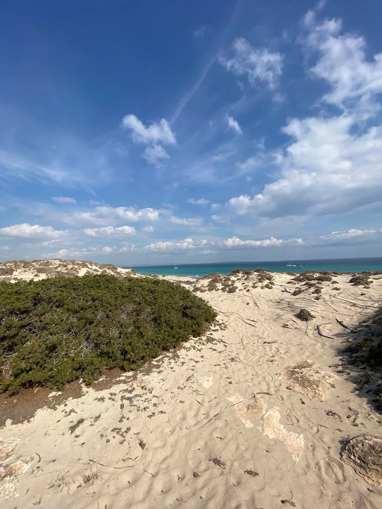 Playa de Ses Canyes, strand op Formentera