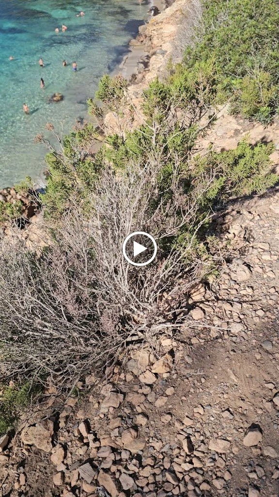 Cala Salada en Cala Saladeta, strand op Ibiza