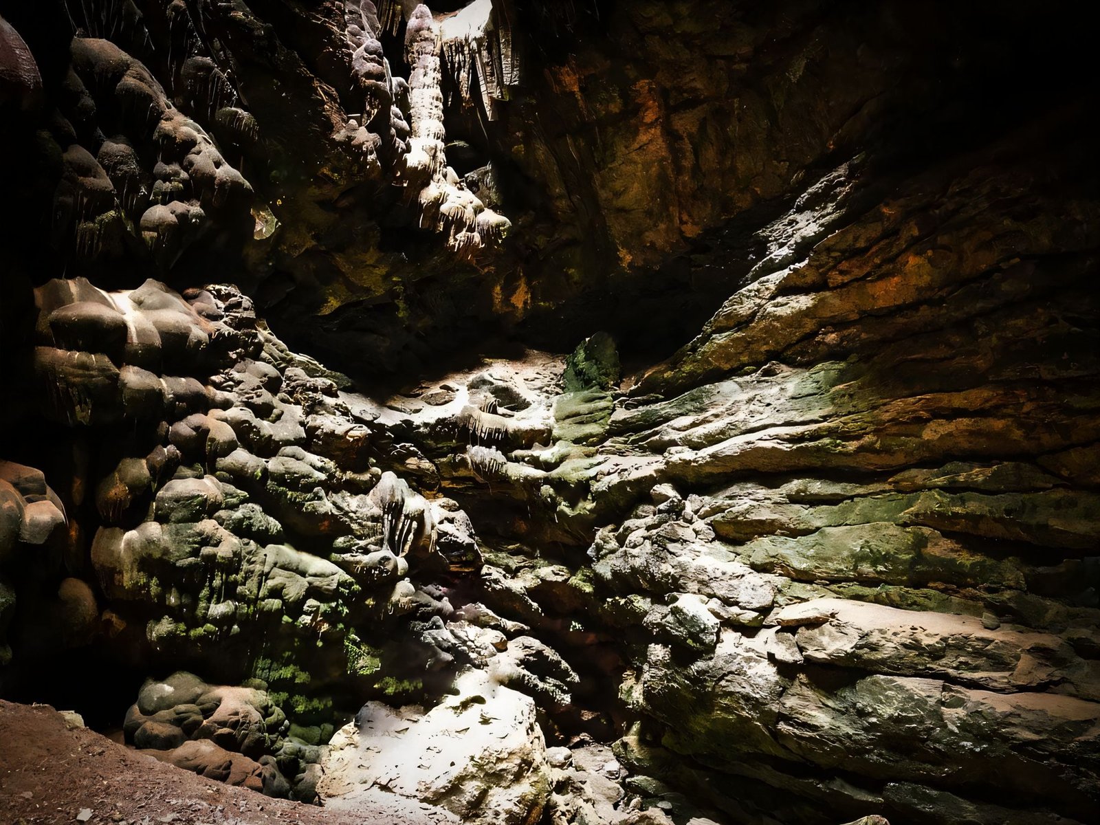 Cova des Sants - Cova de las medusas